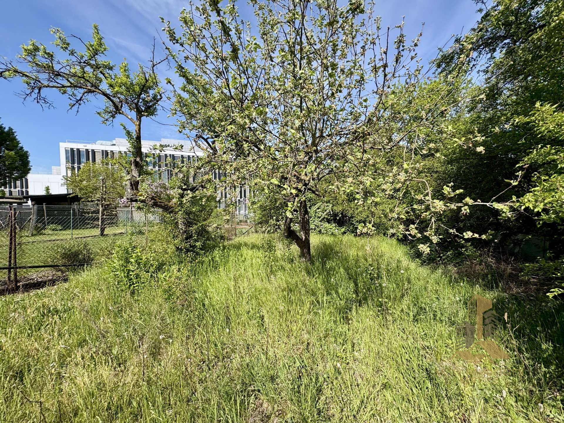 Blick zurück 1
